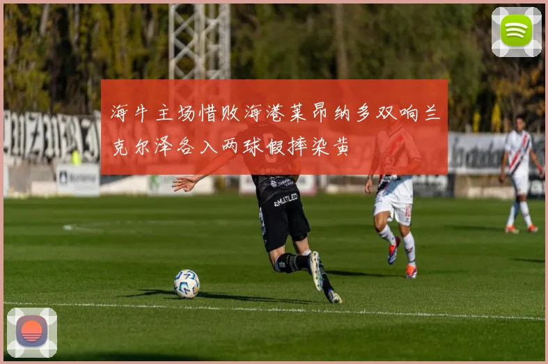 海牛主场惜败海港莱昂纳多双响兰克尔泽各入两球假摔染黄
