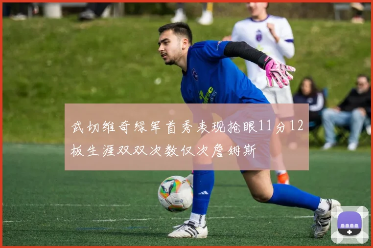武切维奇绿军首秀表现抢眼11分12板生涯双双次数仅次詹姆斯