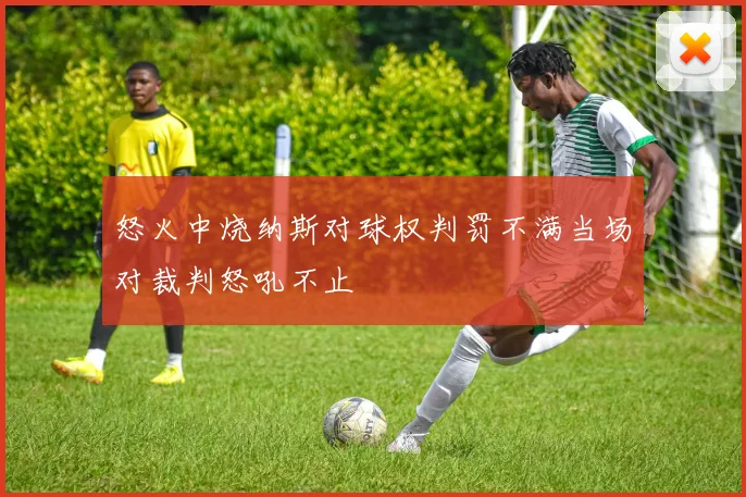 怒火中烧纳斯对球权判罚不满当场对裁判怒吼不止