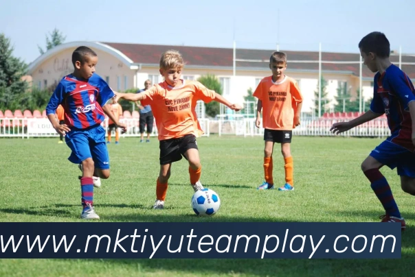 多媒体互动体验